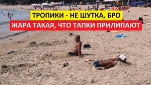 Вьетнам Нячанг погода сегодня 22 апреля 2025 года ☀️ Прогноз: растекусь к обеду
