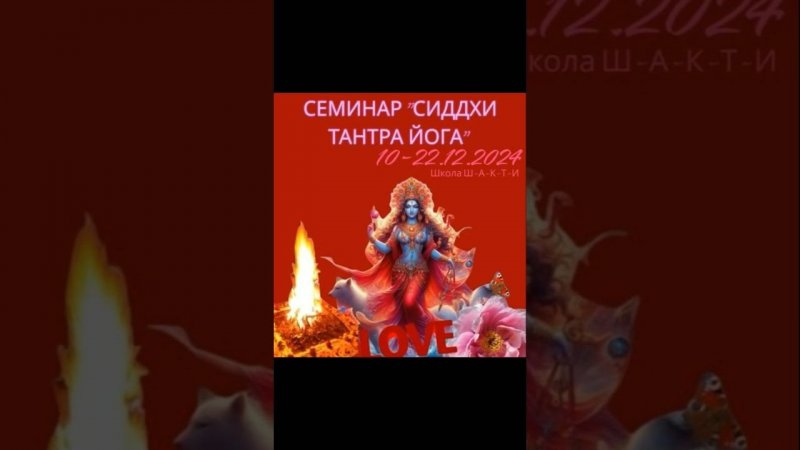 2 декабря 2024 г.