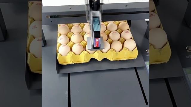 Машина для маркировки продуктов питая от 40 000 р  в Китае