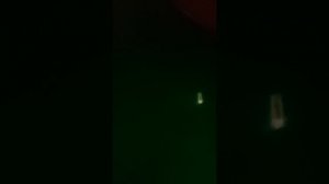 2 часть с другом в занзи парке