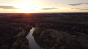 «МЕДВЕДИЦА» | Документальный фильм