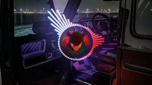 КУОК - Птица