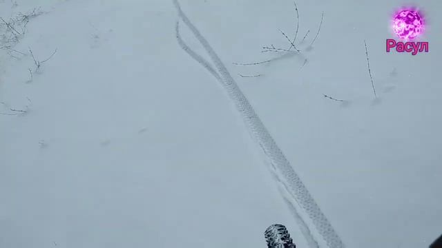 зимой съездил на велике искать куропатку кеклик 2021 смотреть онлайн