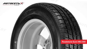Обзор зимней шины Roadstone Euro-Win 650 ● Автосеть ●