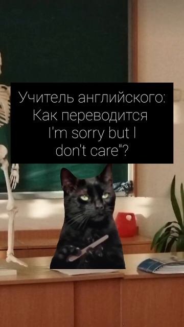 правильна!#рекомендации #видео #cat #кот #shortvideo #котики #котята #коты #shorts #short смотреть онлайн
