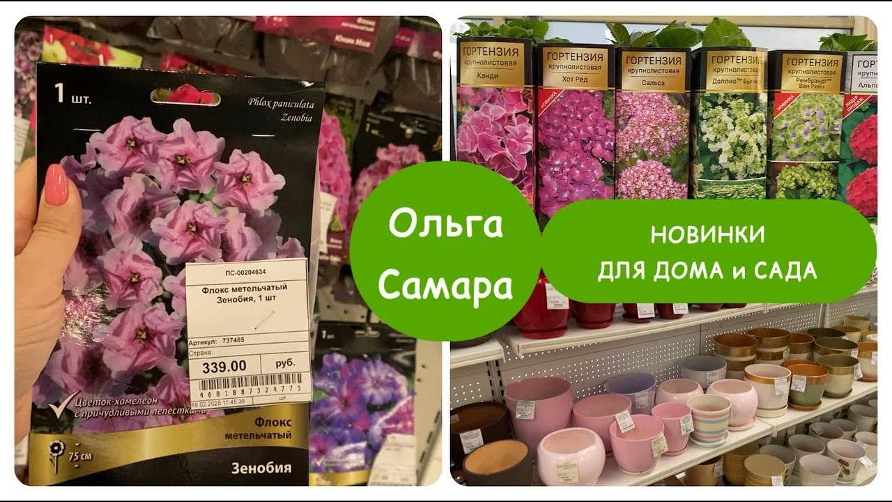 ЗЕЛЕНАЯ СТРАНА2️⃣ часть  ЦВЕТЫ ОВОЩИ ГОРШЕЧНЫЕ РАСТЕНИЯСПЕШИТЕ ПОКА НЕ РАСКУПИЛИ!Февраль,2025