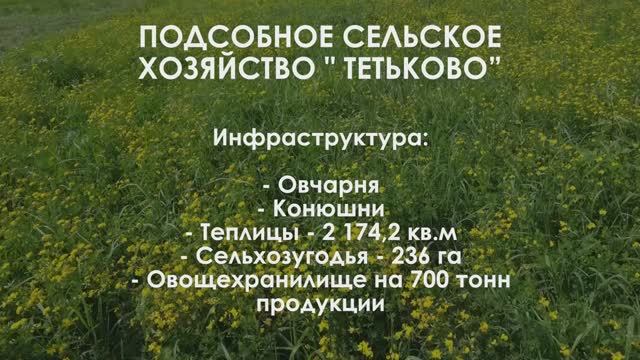 Подсобное сельское хозяйство оздоровительного комплекса "Тетьково" УДП РФ