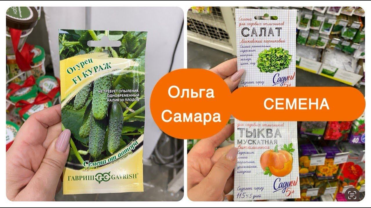 Лемана ПРО  Новая МАРКА семянБольшой выбор саженцев Февраль, 2025