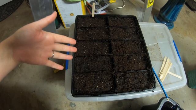 Starting tomato plants from seeds смотреть онлайн