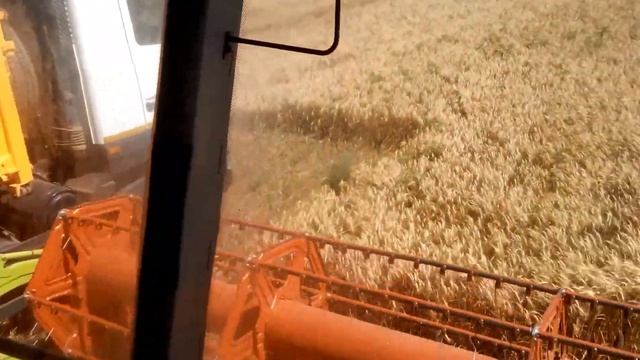 Уборка пшеницы возле моря смотреть онлайн