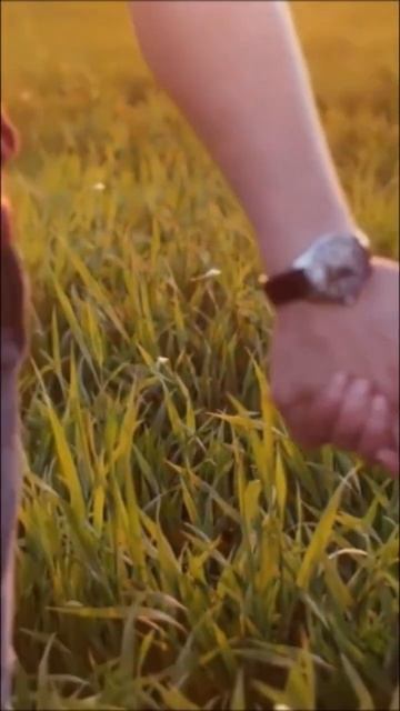 Стихотворение / Всегда любите #shorts