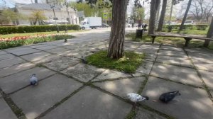 Я ехала домой из Пятигорска в Краснодар