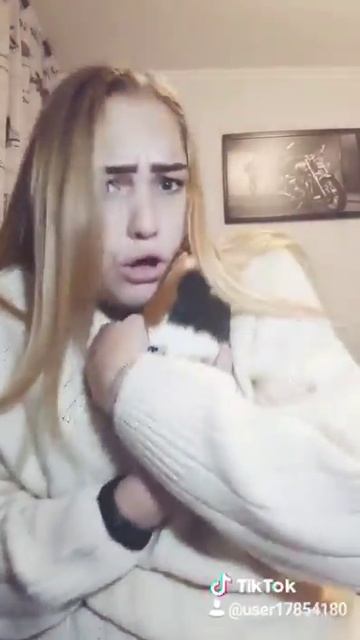 Тик ток прикол морская свинка смотреть онлайн