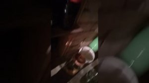 Как зимовка ящериц...