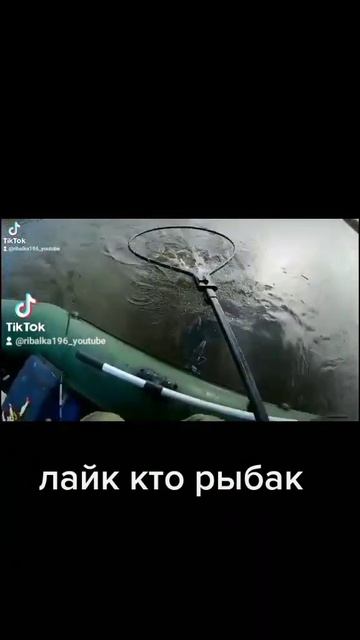 щука удочка в дугу