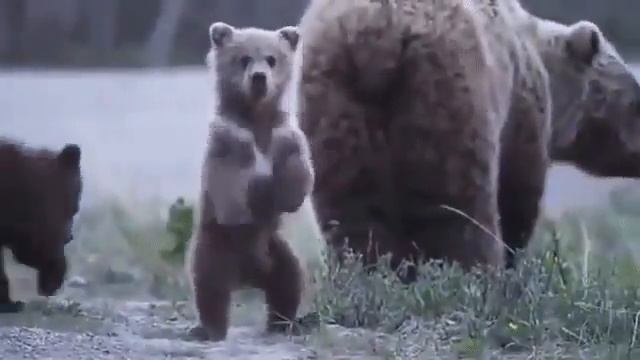 Иди сюда! Я познакомлю тебя с моей мамой смотреть онлайн