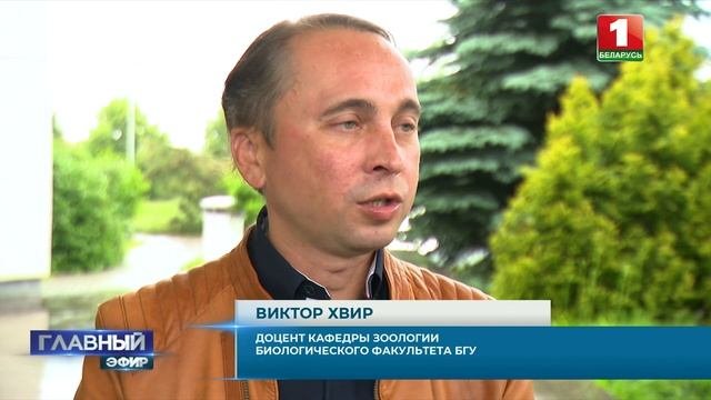Минздрав предупреждает! Белорусов активно кусают клещи. Главный эфир