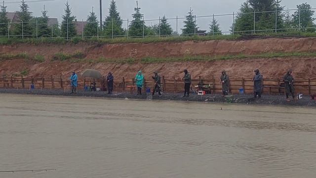 3 июня 2023 г. смотреть онлайн