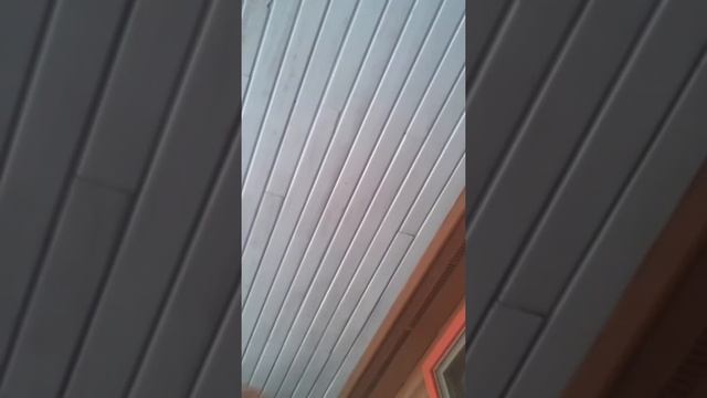 Spy cam смотреть онлайн