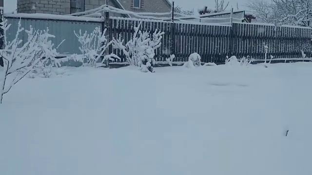 2 АПРЕЛЯ смотреть онлайн