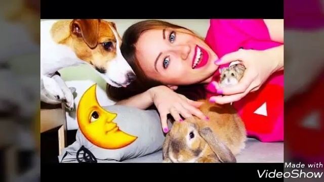 Elli Di и ейо жывотные смотреть онлайн