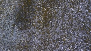 Уничтожение плесени с бетонных поверхностей профессиональными составами