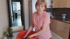 ИЗ ГОРОДА В ДЕРЕВНЮ. Мой честный отзыв.