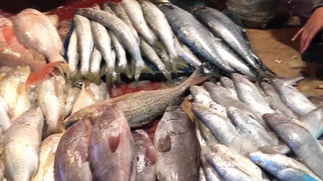 Karachi ki sab sey Best fish market ka visit | Moosa colony Machli bazar| موسیٰ کالونی Fish market смотреть онлайн