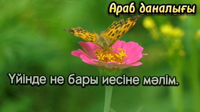ОЙ САЛАР|| АРАБ және АЗЕРБАЙЖАН даналығы|| ҚАЗАҚША || Керек арнасы #kereksoz #нақылсөздер смотреть онлайн