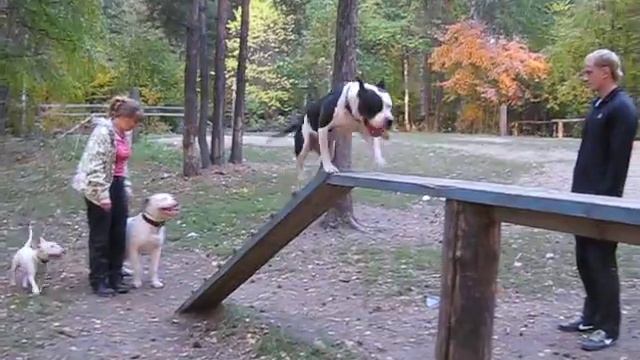 Учимся заходить на бум 2 смотреть онлайн