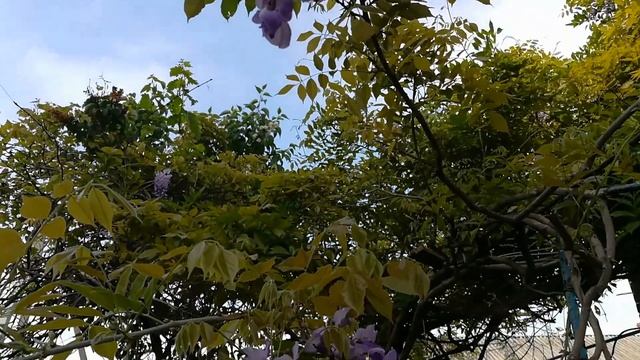 Четыре минуты отдыха. смотреть онлайн