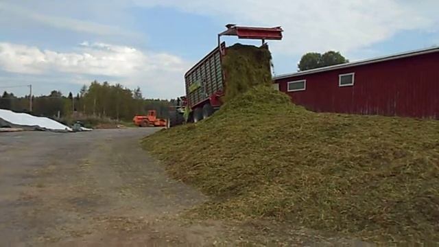 РОЗГРУЗКА СИЛОСУ ! ЦІНА ПРИЦЕПА 160 ТИСЯЧ ЄВРО ! Pressing silage! смотреть онлайн