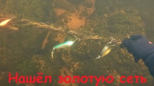 Браконьерская сеть усыпана блёснами