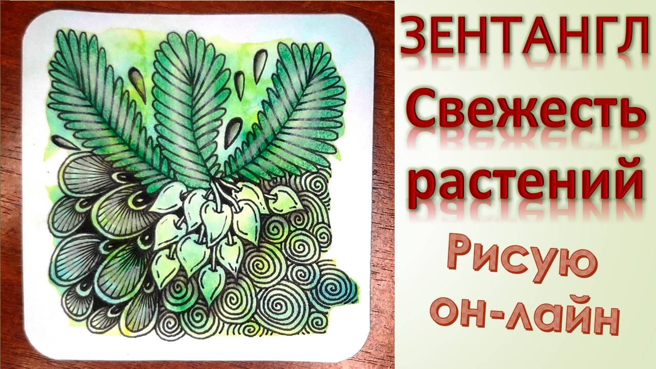 Свежесть растений Зентангл смотреть онлайн