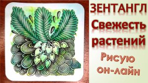 Свежесть растений Зентангл