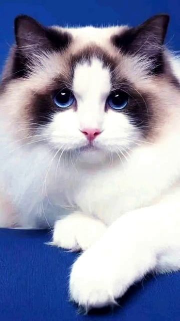 27 листопада 2022 р. смотреть онлайн