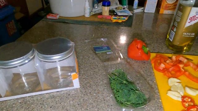 Squid fishing  pickling squid.