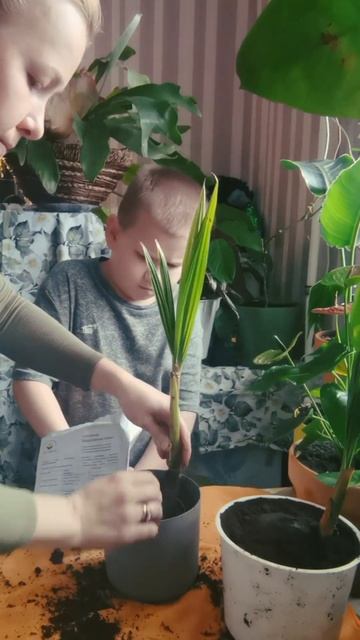 #shorts смотреть онлайн