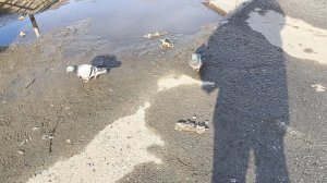 ВЕСЬ МОЙ ДЕНЬ!!!