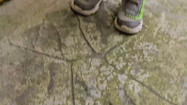 Насекомые. Муравьи сражаются с пауком. Мокрицы и слизень. Видео для детей. 곤충.개미랑 거미 싸움. 어린이 비디오.