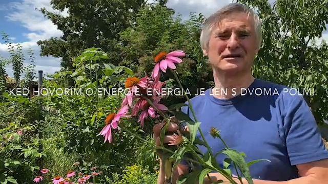 ECHINACEA ZBER (BERBA) смотреть онлайн