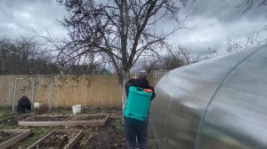 Чем обрабатываю плодовые деревья, установили новую высокую грядку