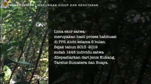 [MOV] PELEPASAN SATWA YANG DILINDUNGI