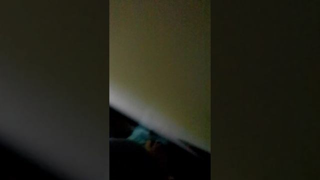 Вызов духов Домовой. СОБАКА сламала камиру!!! смотреть онлайн