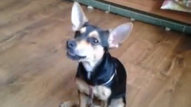 Бусинка смотреть онлайн