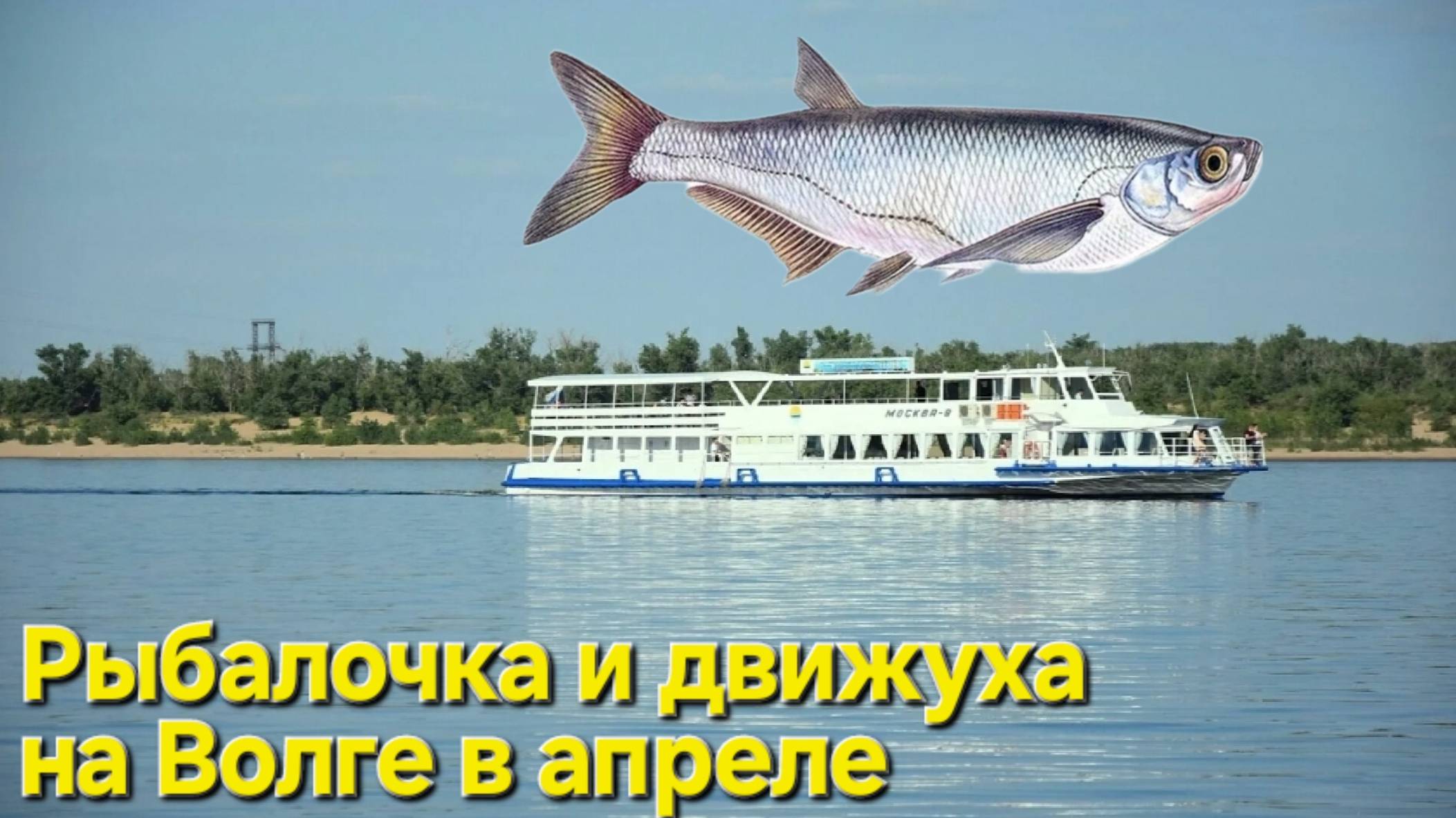 🔥РЫБАЛОЧКА и бешеная "ДВИЖУХА"🔥 Навигация на Волге!! Апрель-Астрахань !!