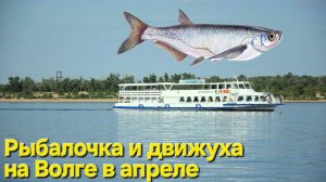 🔥РЫБАЛОЧКА и бешеная "ДВИЖУХА"🔥 Навигация на Волге!! Апрель-Астрахань !!