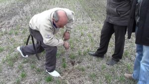 Проблемы при посеве сеялкой с монодиском. No-till