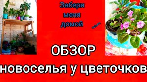 НОВОСЕЛЬЕ🌸🌸🌸🌸🌸🌸🌸🌸