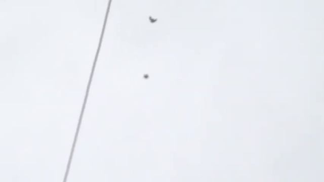 Серпастые голуби Волгодонск смотреть онлайн